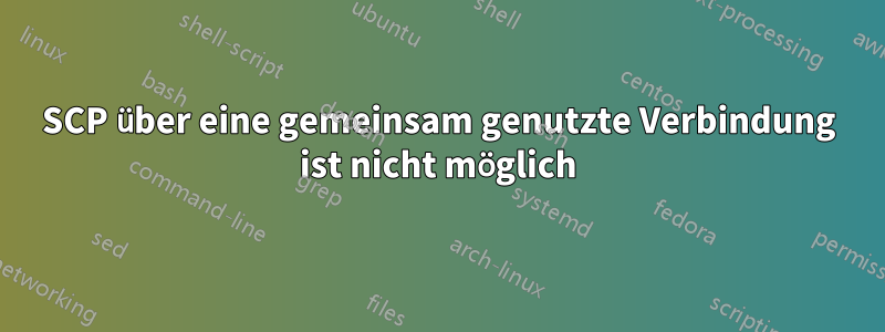 SCP über eine gemeinsam genutzte Verbindung ist nicht möglich