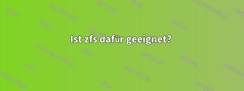 Ist zfs dafür geeignet?