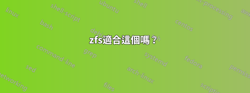 zfs適合這個嗎？