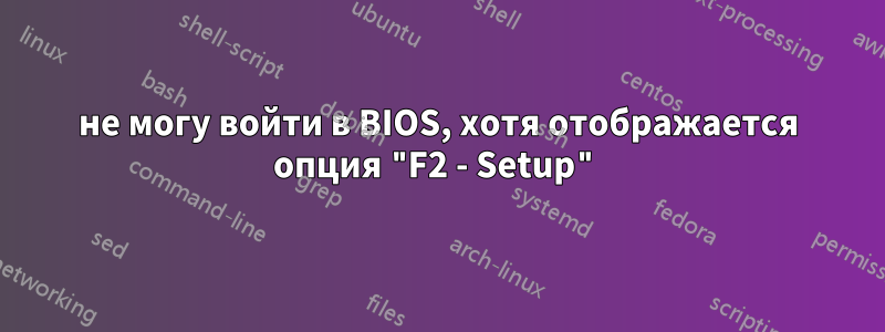 не могу войти в BIOS, хотя отображается опция "F2 - Setup"