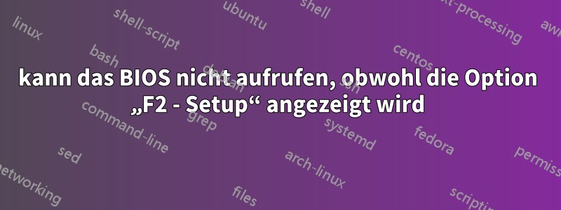 kann das BIOS nicht aufrufen, obwohl die Option „F2 - Setup“ angezeigt wird