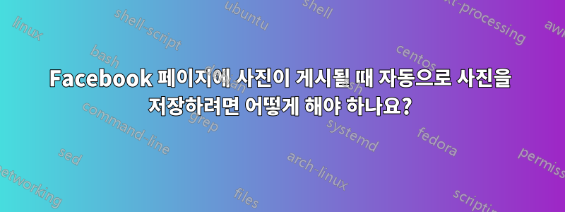 Facebook 페이지에 사진이 게시될 때 자동으로 사진을 저장하려면 어떻게 해야 하나요?