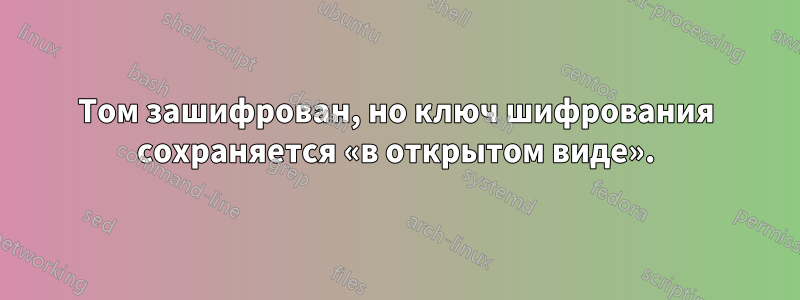 Том зашифрован, но ключ шифрования сохраняется «в открытом виде».