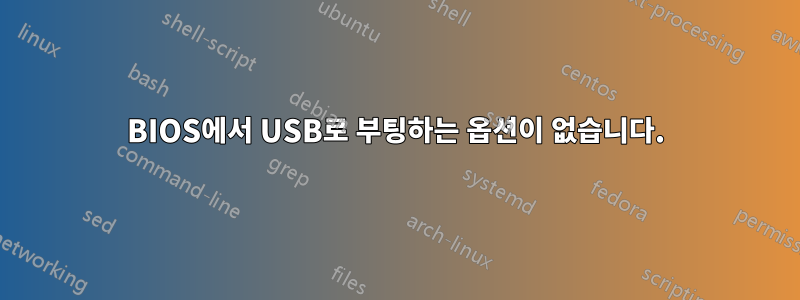 BIOS에서 USB로 부팅하는 옵션이 없습니다.