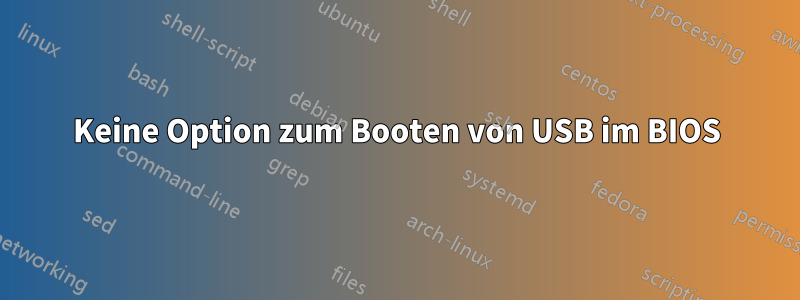 Keine Option zum Booten von USB im BIOS