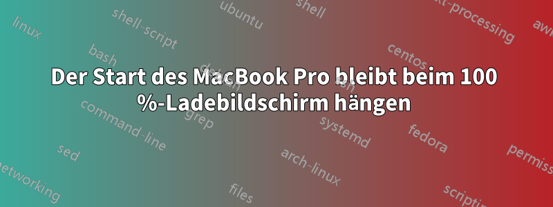 Der Start des MacBook Pro bleibt beim 100 %-Ladebildschirm hängen