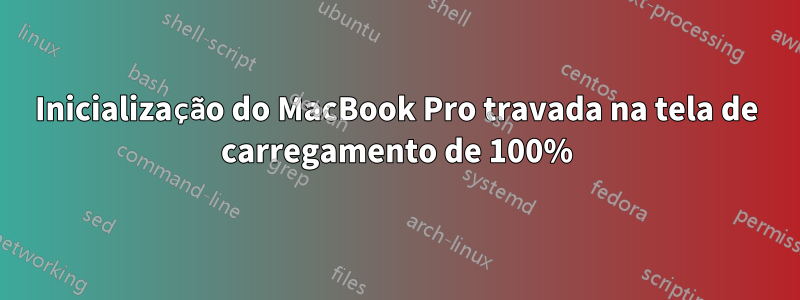 Inicialização do MacBook Pro travada na tela de carregamento de 100%