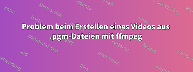 Problem beim Erstellen eines Videos aus .pgm-Dateien mit ffmpeg