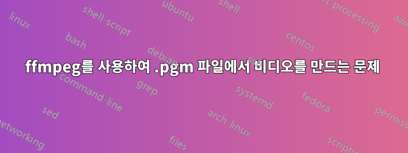 ffmpeg를 사용하여 .pgm 파일에서 비디오를 만드는 문제