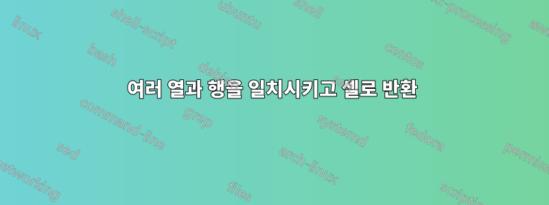 여러 열과 행을 일치시키고 셀로 반환