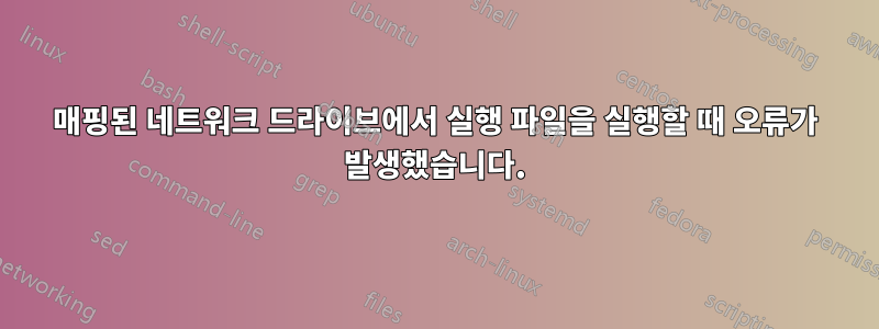 매핑된 네트워크 드라이브에서 실행 파일을 실행할 때 오류가 발생했습니다.