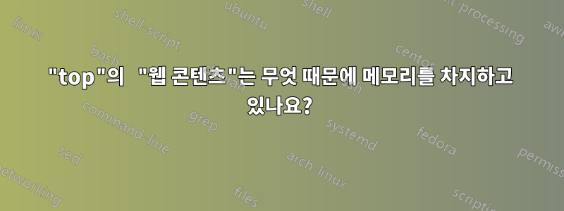 "top"의 "웹 콘텐츠"는 무엇 때문에 메모리를 차지하고 있나요?