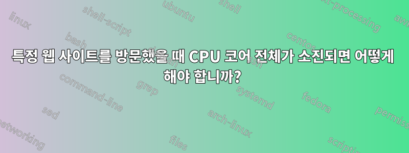 특정 웹 사이트를 방문했을 때 CPU 코어 전체가 소진되면 어떻게 해야 합니까?