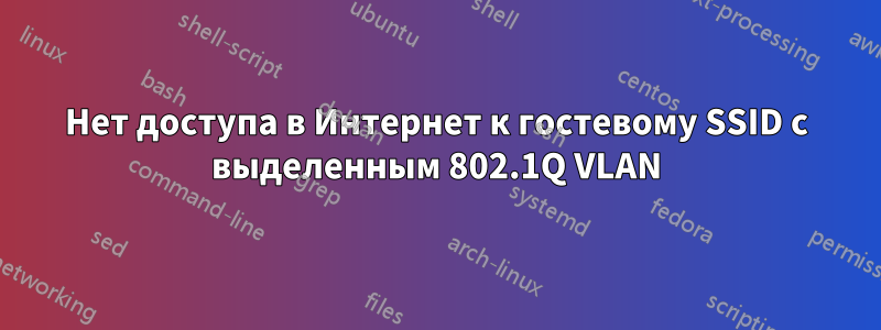 Нет доступа в Интернет к гостевому SSID с выделенным 802.1Q VLAN