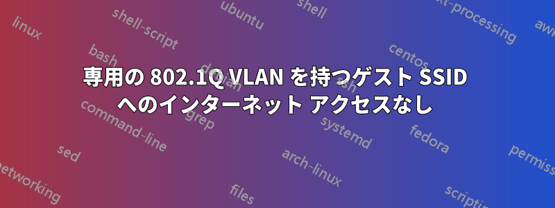 専用の 802.1Q VLAN を持つゲスト SSID へのインターネット アクセスなし