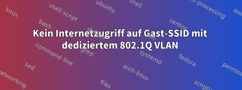 Kein Internetzugriff auf Gast-SSID mit dediziertem 802.1Q VLAN