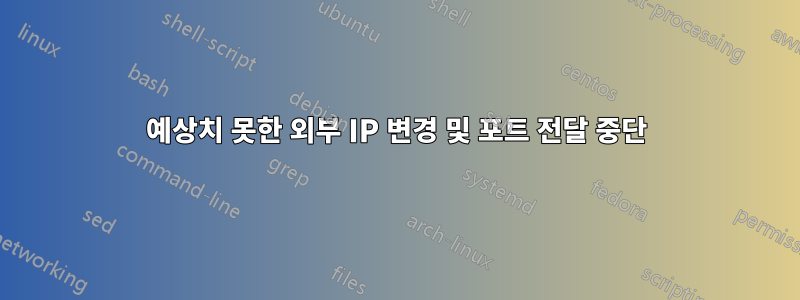 예상치 못한 외부 IP 변경 및 포트 전달 중단