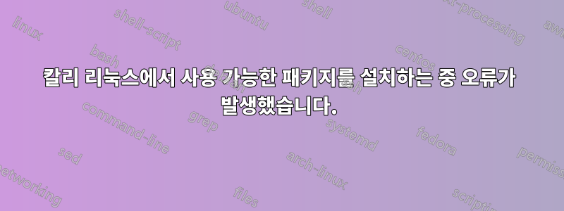 칼리 리눅스에서 사용 가능한 패키지를 설치하는 중 오류가 발생했습니다.