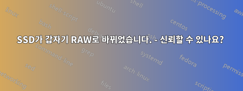 SSD가 갑자기 RAW로 바뀌었습니다. - 신뢰할 수 있나요?