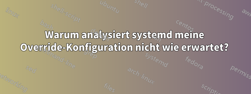 Warum analysiert systemd meine Override-Konfiguration nicht wie erwartet?