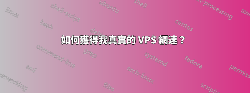 如何獲得我真實的 VPS 網速？