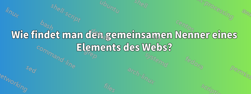 Wie findet man den gemeinsamen Nenner eines Elements des Webs?