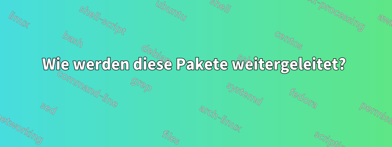 Wie werden diese Pakete weitergeleitet?