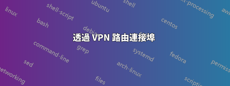 透過 VPN 路由連接埠