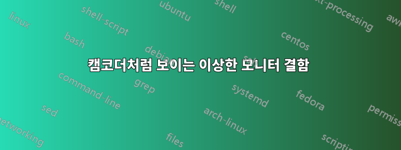 캠코더처럼 보이는 이상한 모니터 결함