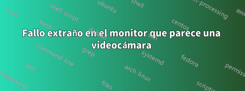 Fallo extraño en el monitor que parece una videocámara