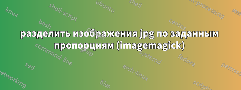 разделить изображения jpg по заданным пропорциям (imagemagick)