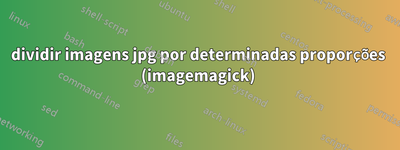 dividir imagens jpg por determinadas proporções (imagemagick)