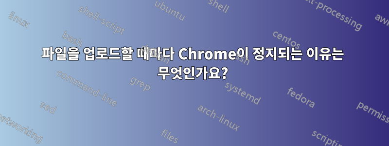 파일을 업로드할 때마다 Chrome이 정지되는 이유는 무엇인가요?