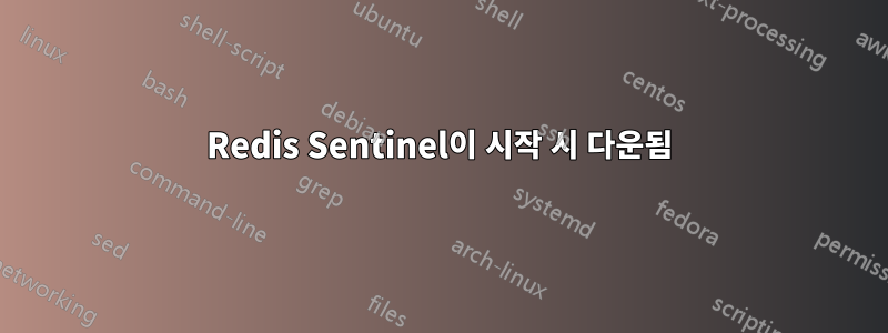 Redis Sentinel이 시작 시 다운됨