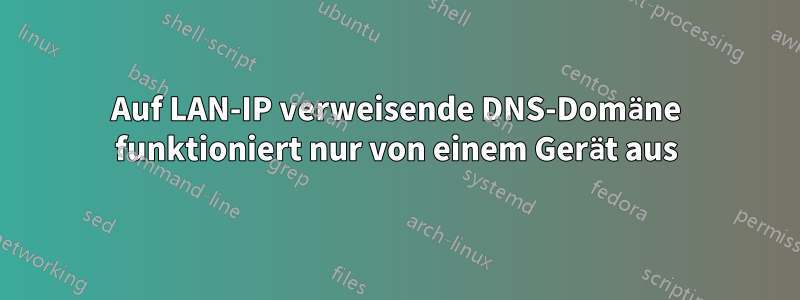 Auf LAN-IP verweisende DNS-Domäne funktioniert nur von einem Gerät aus