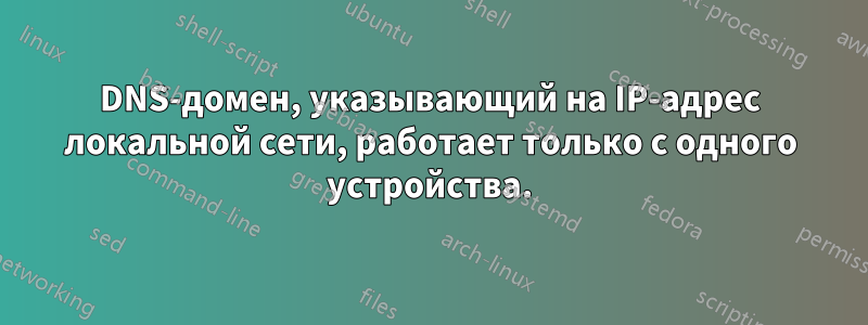 DNS-домен, указывающий на IP-адрес локальной сети, работает только с одного устройства.