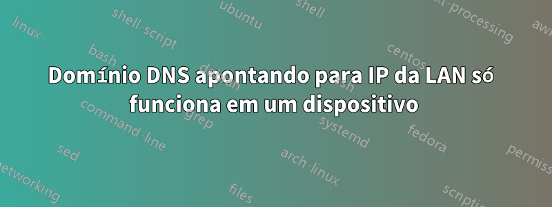 Domínio DNS apontando para IP da LAN só funciona em um dispositivo