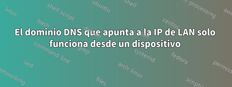 El dominio DNS que apunta a la IP de LAN solo funciona desde un dispositivo