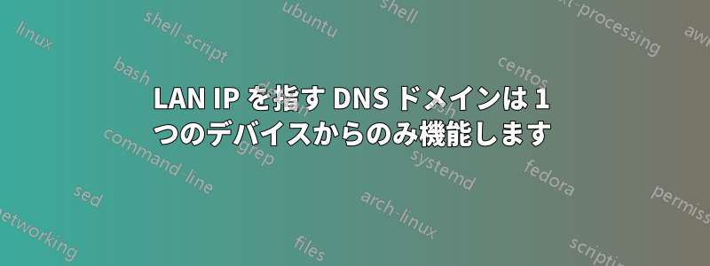 LAN IP を指す DNS ドメインは 1 つのデバイスからのみ機能します