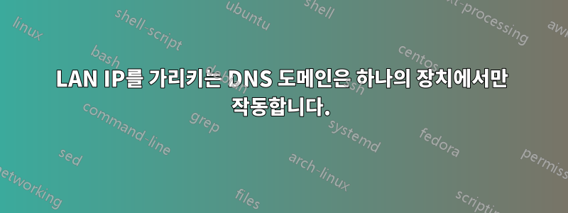 LAN IP를 가리키는 DNS 도메인은 하나의 장치에서만 작동합니다.