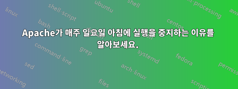 Apache가 매주 일요일 아침에 실행을 중지하는 이유를 알아보세요.