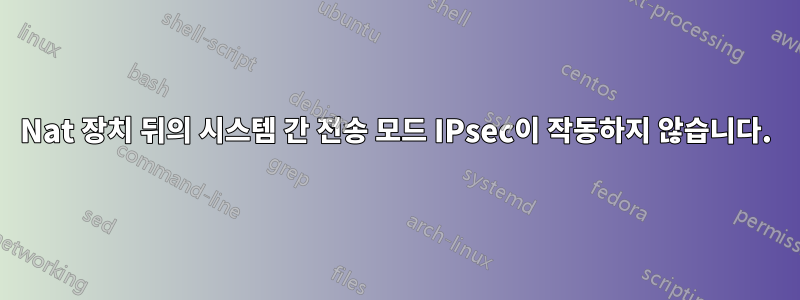 Nat 장치 뒤의 시스템 간 전송 모드 IPsec이 작동하지 않습니다.