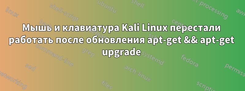 Мышь и клавиатура Kali Linux перестали работать после обновления apt-get && apt-get upgrade