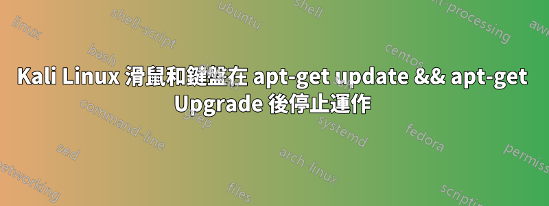 Kali Linux 滑鼠和鍵盤在 apt-get update && apt-get Upgrade 後停止運作