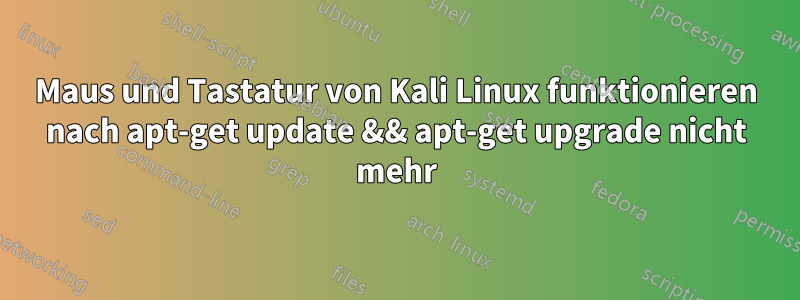 Maus und Tastatur von Kali Linux funktionieren nach apt-get update && apt-get upgrade nicht mehr