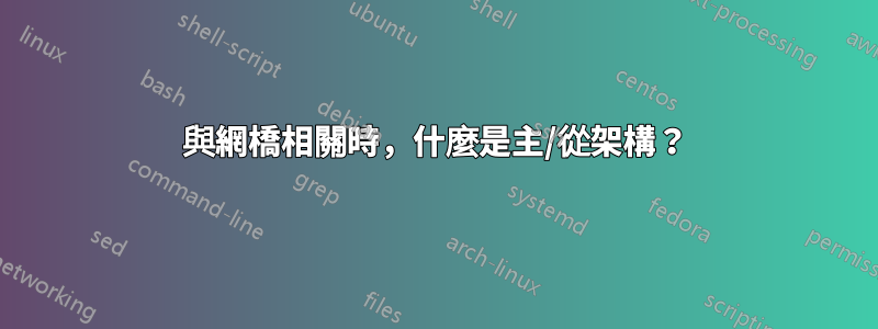 與網橋相關時，什麼是主/從架構？