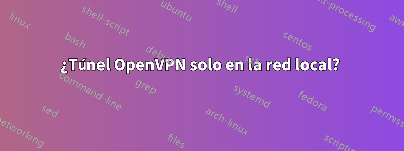 ¿Túnel OpenVPN solo en la red local?