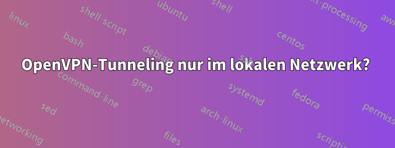 OpenVPN-Tunneling nur im lokalen Netzwerk?