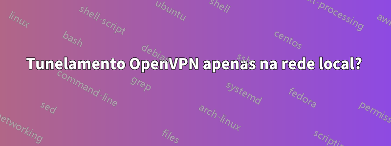 Tunelamento OpenVPN apenas na rede local?