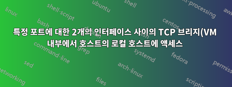 특정 포트에 대한 2개의 인터페이스 사이의 TCP 브리지(VM 내부에서 호스트의 로컬 호스트에 액세스)